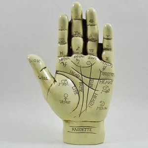 Image of Palmistry Hand Large Sculpture L20cm
