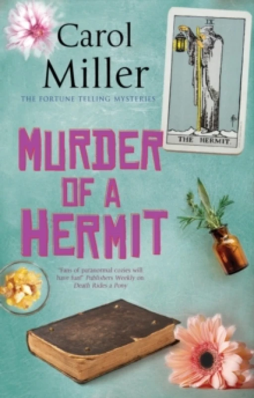 Image of Murder of a Hermit Paperback / softback