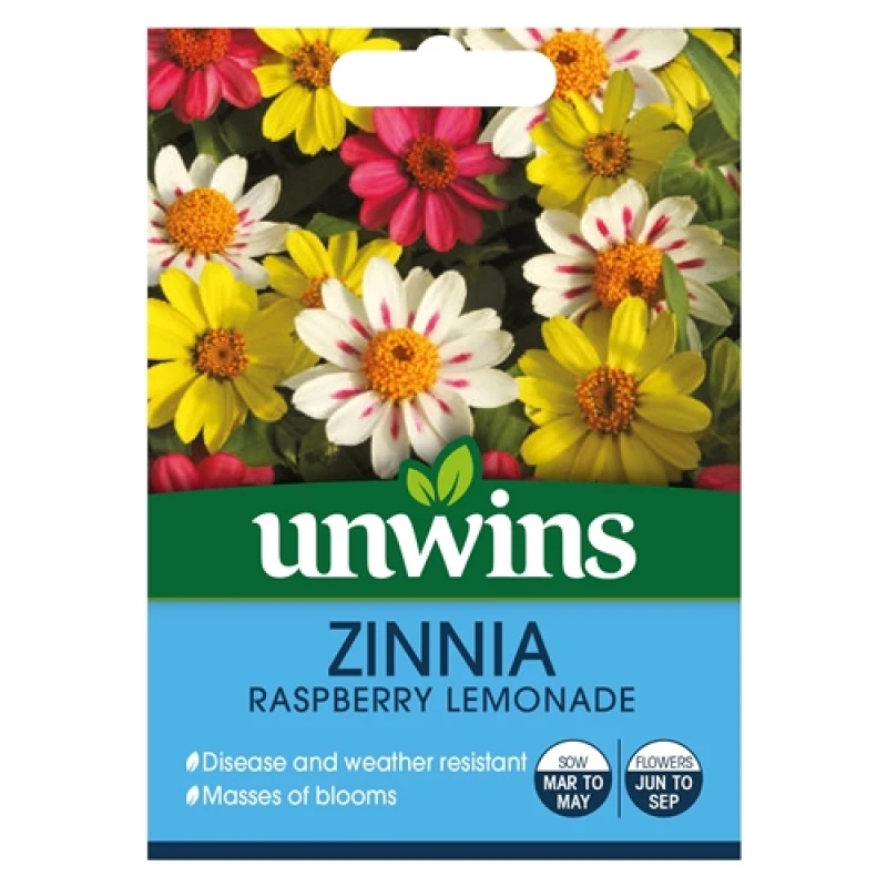 Image of Unwins Zinnia Raspberry Lemonade