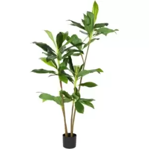 Image of Home and Styling Dracanea Plant 24 - Green
