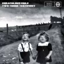 Image of Two Tonne Testimony