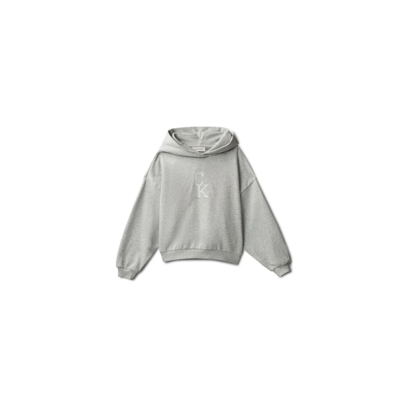 Image of Calvin Klein CK L Hood Swtshrt Jn63 Grey female 8Y