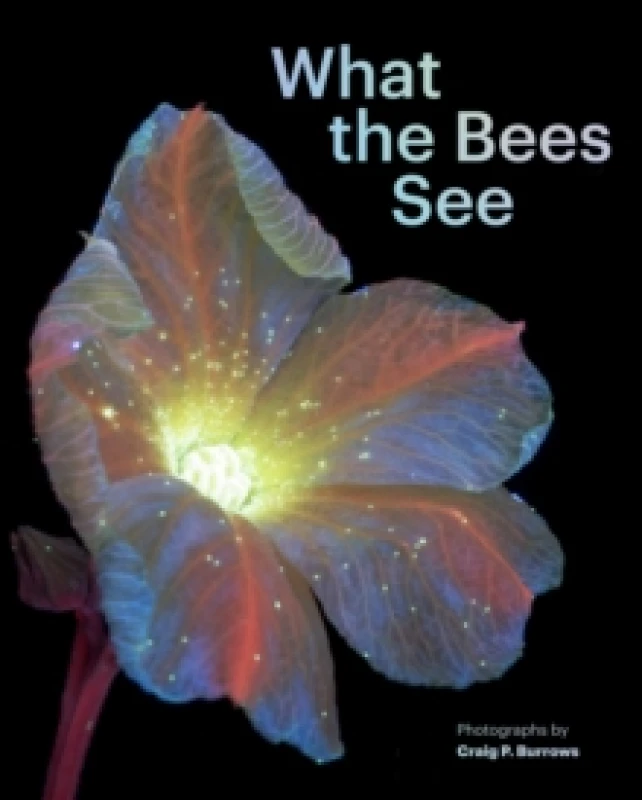 Image of What the Bees See Hardback