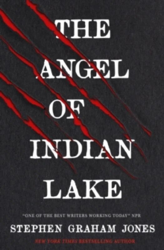 Image of The Angel of Indian Lake Paperback / softback