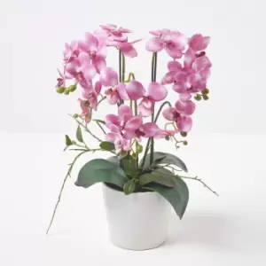 Image of Homescapes - Pink Orchid 54cm Phalaenopsis in Ceramic Pot Extra Large, 5 Stems - Pink & White