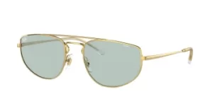 Image of Ray-Ban Sunglasses RB3668 001/Q5