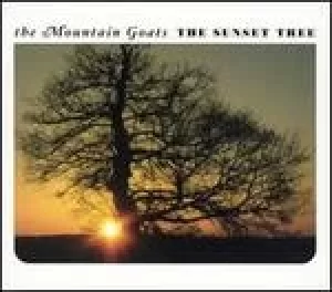 Image of sunset tree
