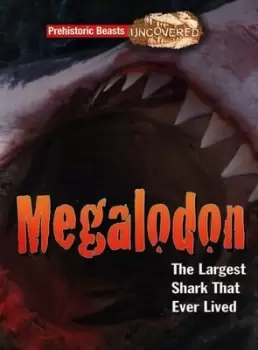 Image of Megalodon - Dougal Dixon - Paperback - Used