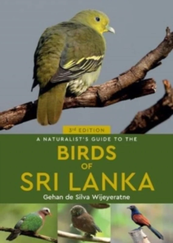 Image of A Naturalist's Guide to the Birds of Sri Lanka (3rd edition) Paperback / softback