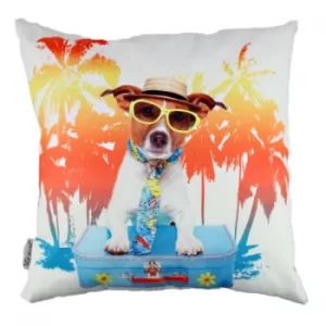 Image of A10804 Multicolor Cushion