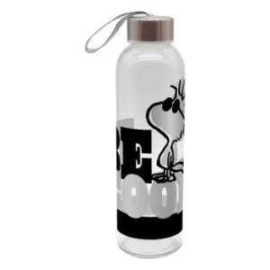 Image of Peanuts Water Bottle Be Cool