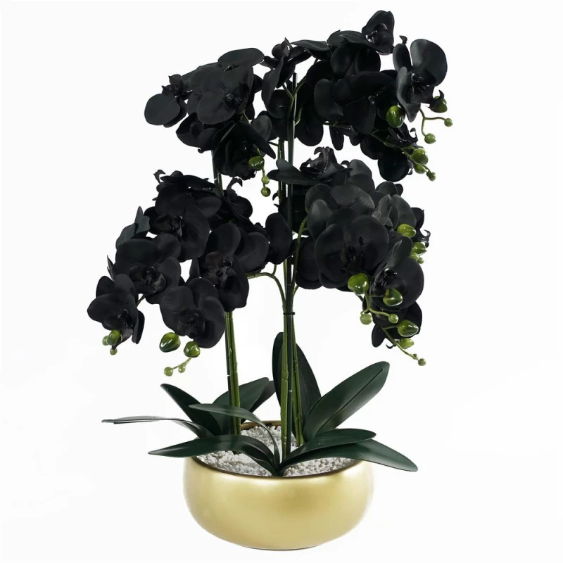 Image of Leaf 60cm Orchid Black -Gold Ceramic Planter Green