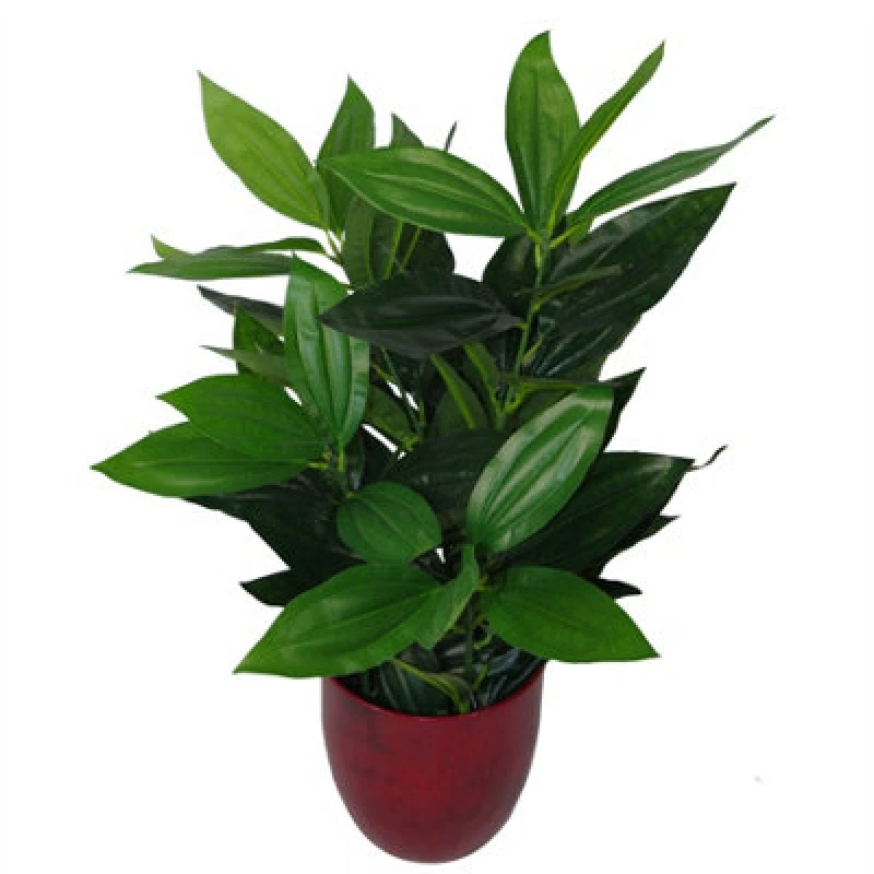 Image of Leaf 70cm Large Bushy Artificial Evergreen House Plant Green