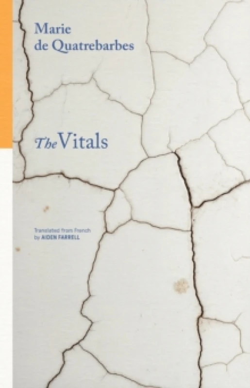 Image of The Vitals Paperback / softback