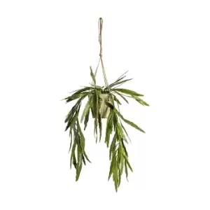 Image of Artificial Hanging Rhipsalis With Rustic Pot