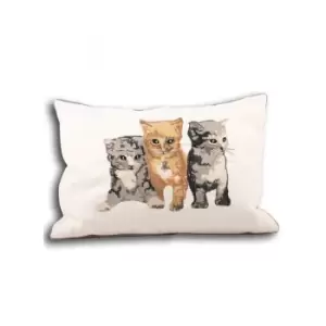 Image of Kitty Embroidered Piped Cushion Cover, Cream, 35 x 50 Cm - Paoletti
