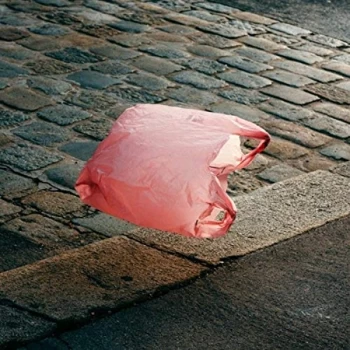 Image of Ant Antic - Good Vids. Vile Times Vinyl