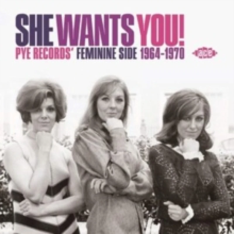 Image of She Wants You!: Pye Records' Feminine Side 1964-1970 CD / Album