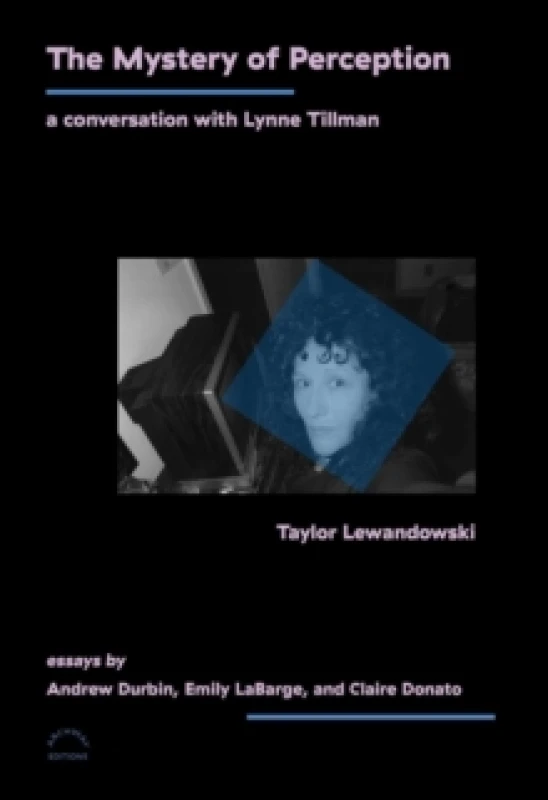 Image of The Mystery of Perception : A Conversation with Lynne Tillman Paperback / softback