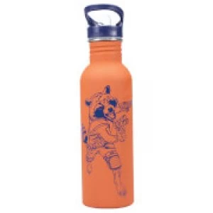 Image of Marvel Guardians of the Galaxy Water Bottle - Rocket