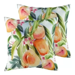 Image of Evans Lichfield Fruit Peaches Twin Pack Polyester Filled Cushions Multi