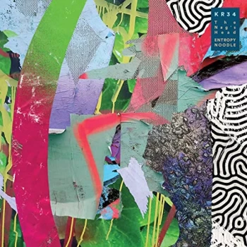 Image of The Nag's Head - Entropy Noodle Vinyl