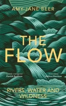 Image of The flow - Amy-Jane Beer - Hardback - Used