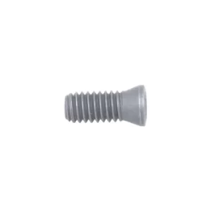 Image of DSW-307 Insert Screw