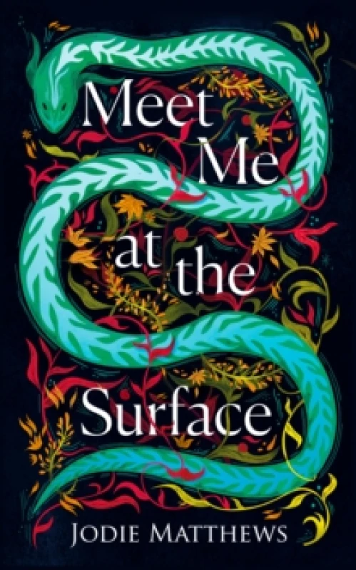 Image of Meet Me at the Surface Hardback