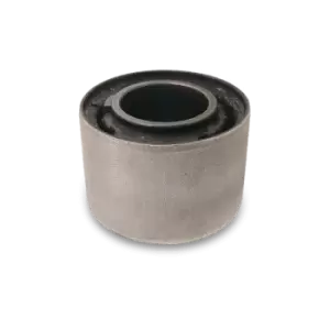 Image of MAXGEAR Mounting, differential LAND ROVER 40-0453