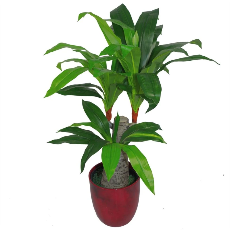 Image of Leaf 75cm Artificial Dracaena Plant - Wide Trunk Triple Branch Large Green unisex