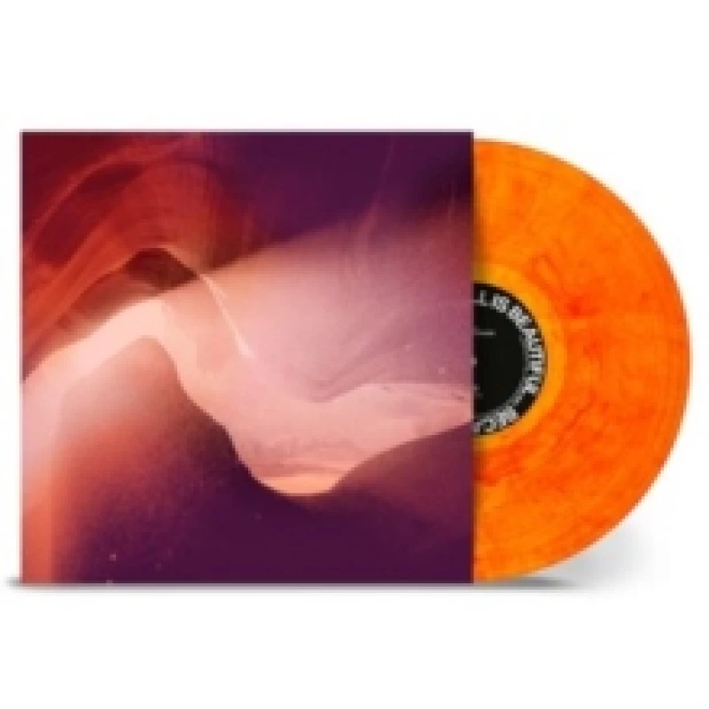 Image of All Is Beautiful ...because We Are Doomed Vinyl