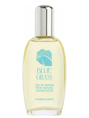 Image of Elizabeth Arden Blue Grass Eau de Parfum For Her 100ml