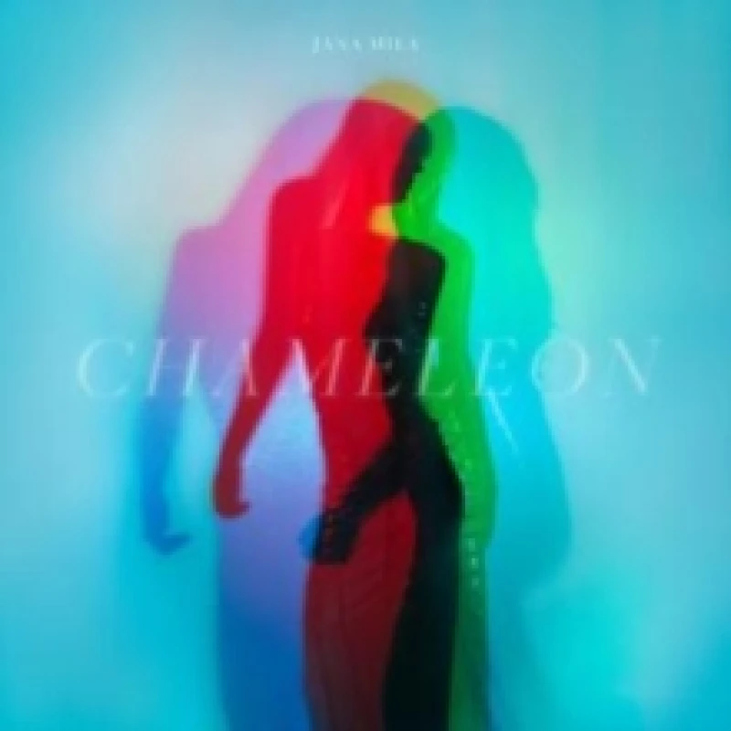 Image of Chameleon Vinyl