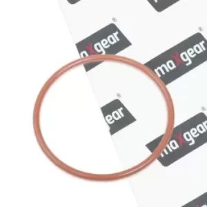 Image of MAXGEAR Gaskets 70-0116 Gasket, vacuum pump BMW,3 Limousine (E46),5 Limousine (E39),3 Touring (E46),3 Coupe (E46),5 Touring (E39),3 Limousine (E36)