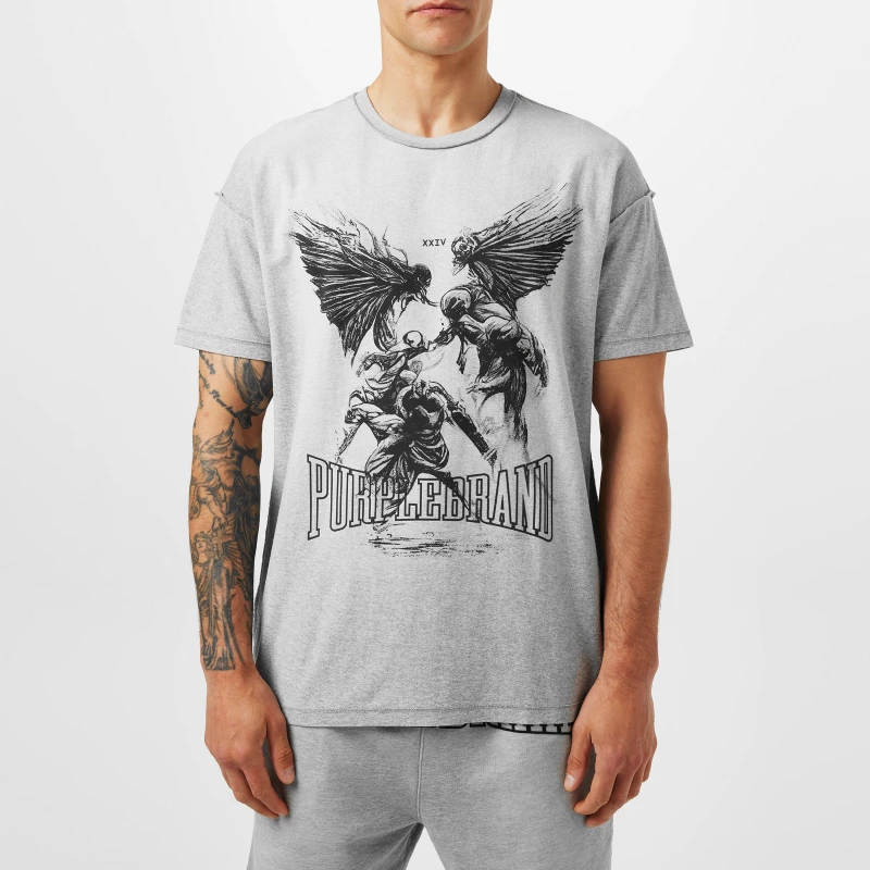 Image of Purple Brand Mens Regular Fit Graphic T-Shirt Heather male Medium