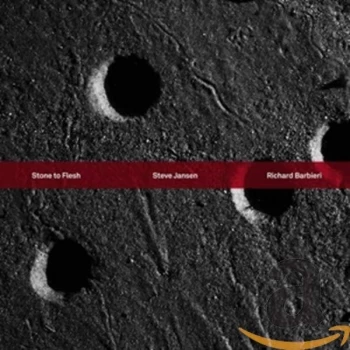 Image of Steve Jansen Richard Barbieri - Stone to Flesh CD