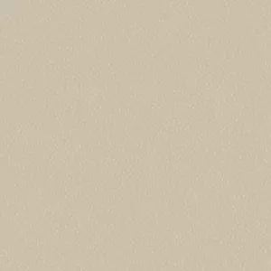 Image of Holden Pinto Beige Wallpaper