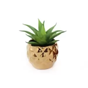 Image of Miniature Succulent In Gold Geometric Pot