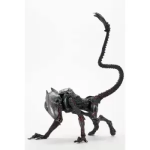 Image of Aliens Action Figure Night Cougar Alien (Kenner Tribute) 23cm
