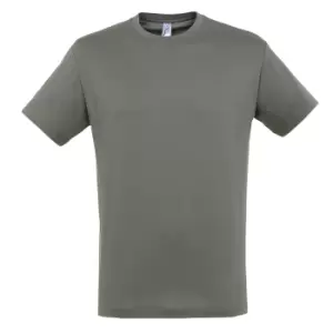 Image of SOLS Mens Regent Short Sleeve T-Shirt (M) (Zinc)