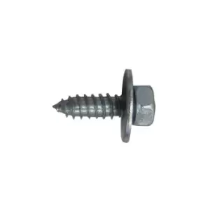 Image of Wot-nots - Acme Bolts - No. 12 x 3/4in. - Pack Of 2 - PWN564