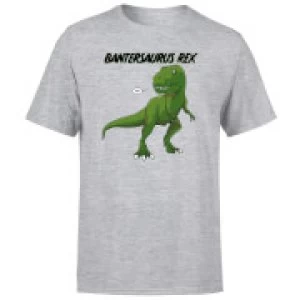 Image of Bantersaurus Rex Mens T-Shirt - Grey - 3XL