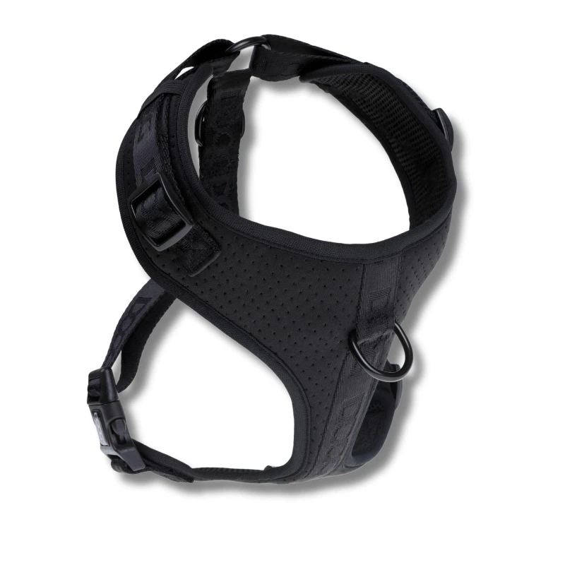 Image of DOOG Neosport Soft Harness Black - Medium Dog Harness Medium Black 40075203130