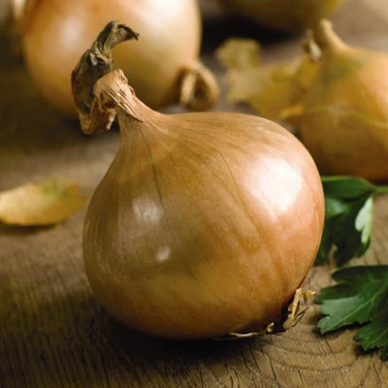 Image of Thompson & Morgan Onion Ailsa Craig 1 Seed Packet