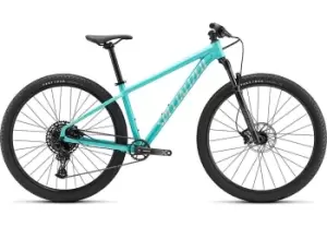 Image of 2022 Specialized Rockhopper Expert Hardtail Mountain Bike in Gloss Lagoon Blue