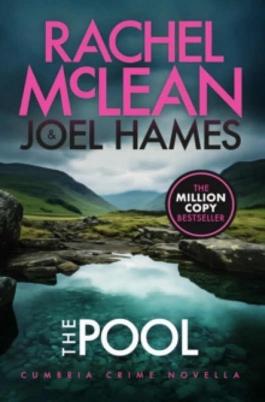Image of The Pool : Cumbria Crime Novella Paperback / softback