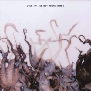 Image of Stephin Merritt - Obscurities Vinyl