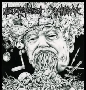 Image of Split by Endorphins Lost/Deathgrave Vinyl Album