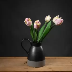 Image of Pink & Green Tulip